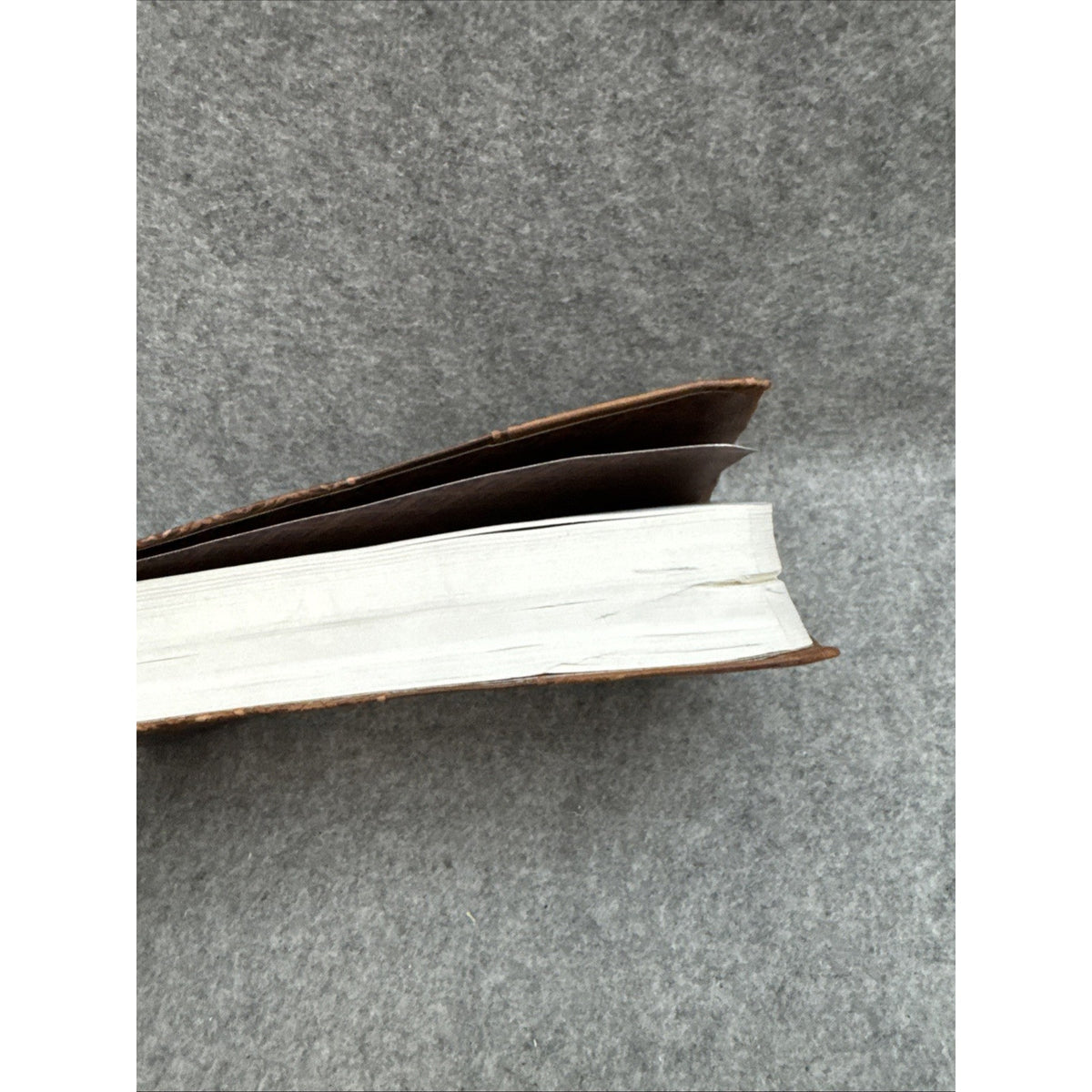New Life Bible (Neutral Cover) by Barbour Publishing Staff 2003 Leather
