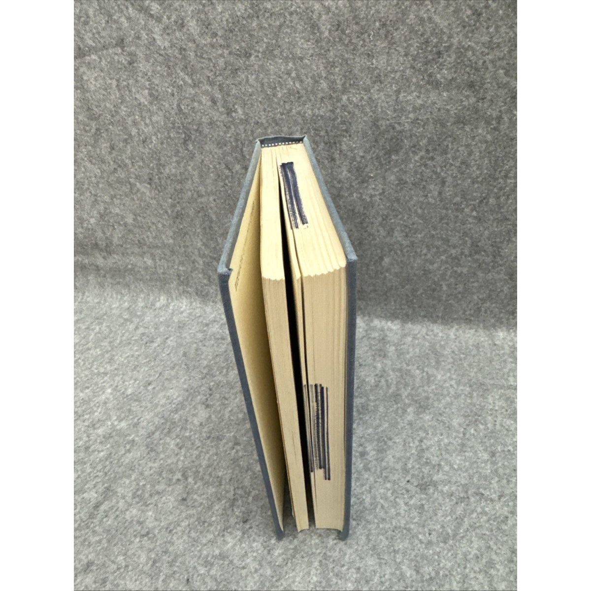 (1st US Ed) HC Renaissance Europe the Individual and Society, 1480-1520