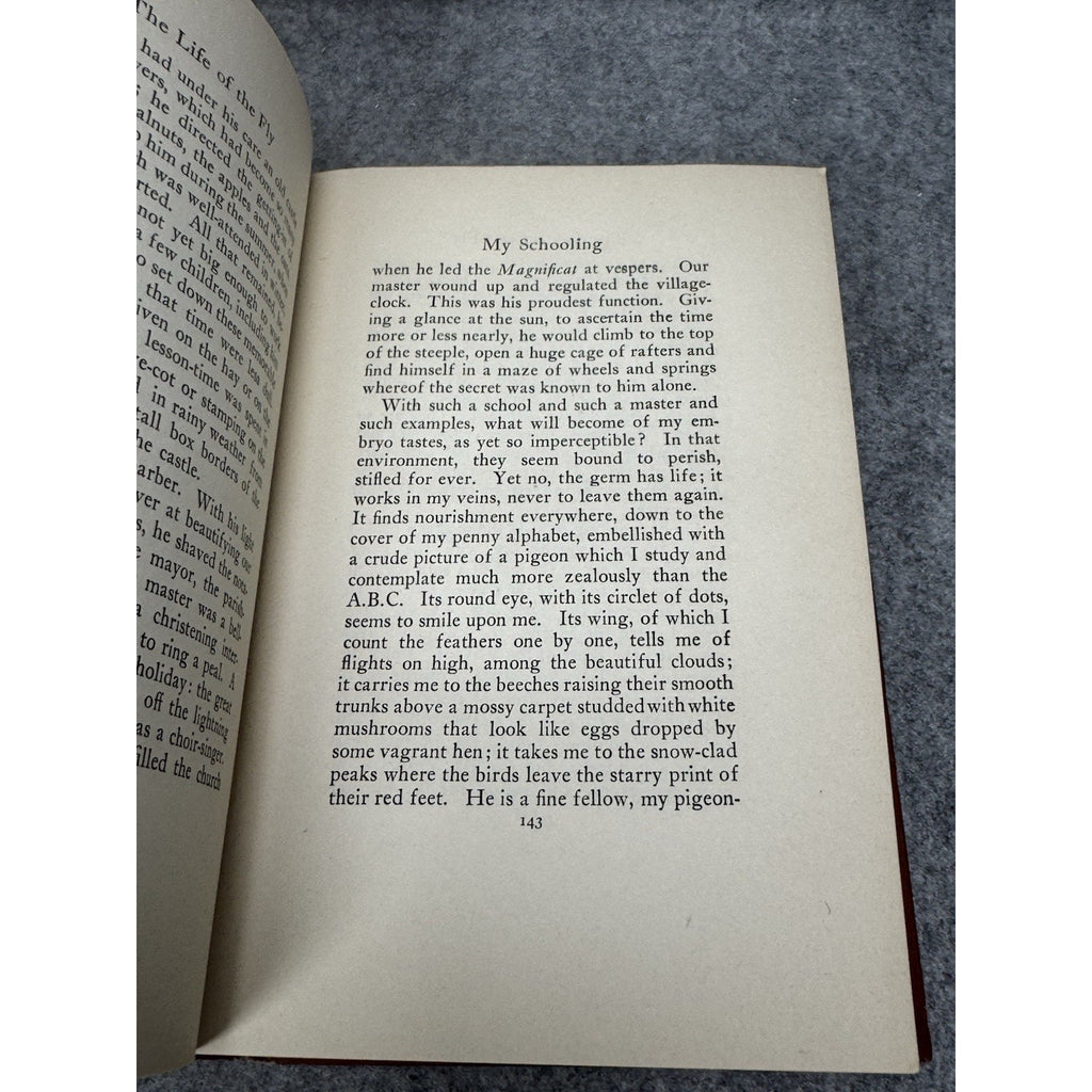 1913 Life of the Fly J Henri Fabre First American Edition Hardcover Gilt Top