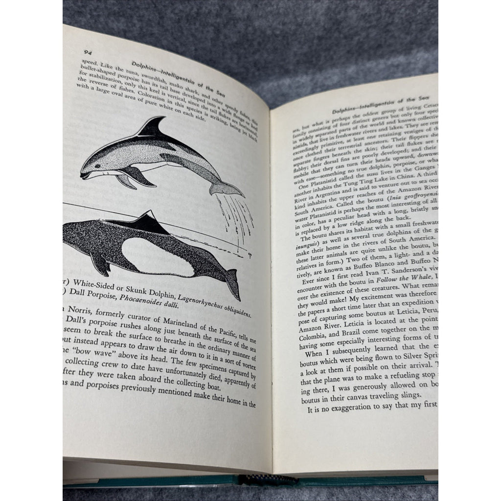 The Captive Sea by Craig Phillips HC First Edition 1964
