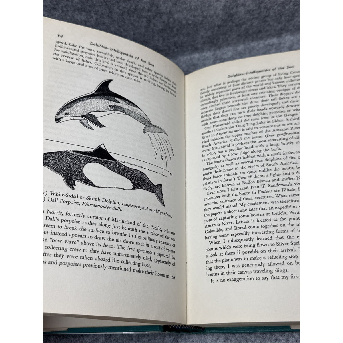 The Captive Sea by Craig Phillips HC First Edition 1964