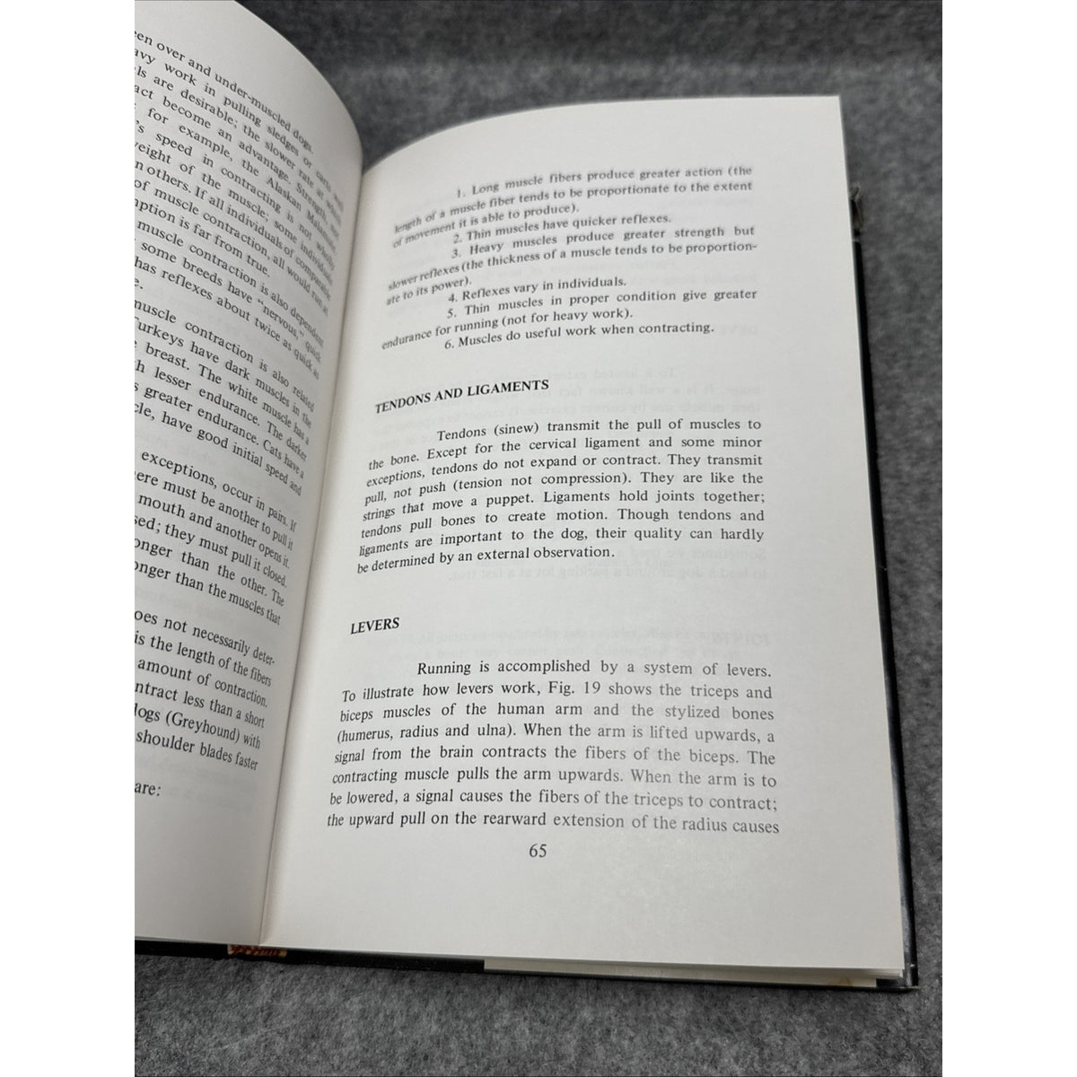 The Art and Science of Judging Dogs; Curtis M. Brown and Thelma R. Brown; 1976