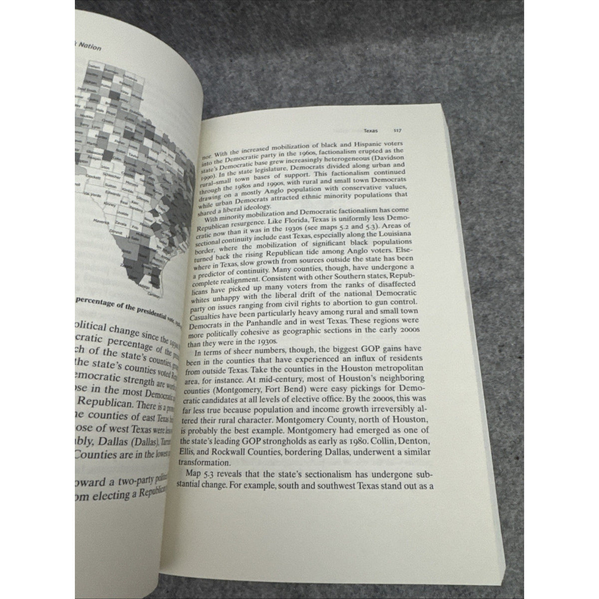 Patchwork Nation: Sectionalism and Political Change in American Politics