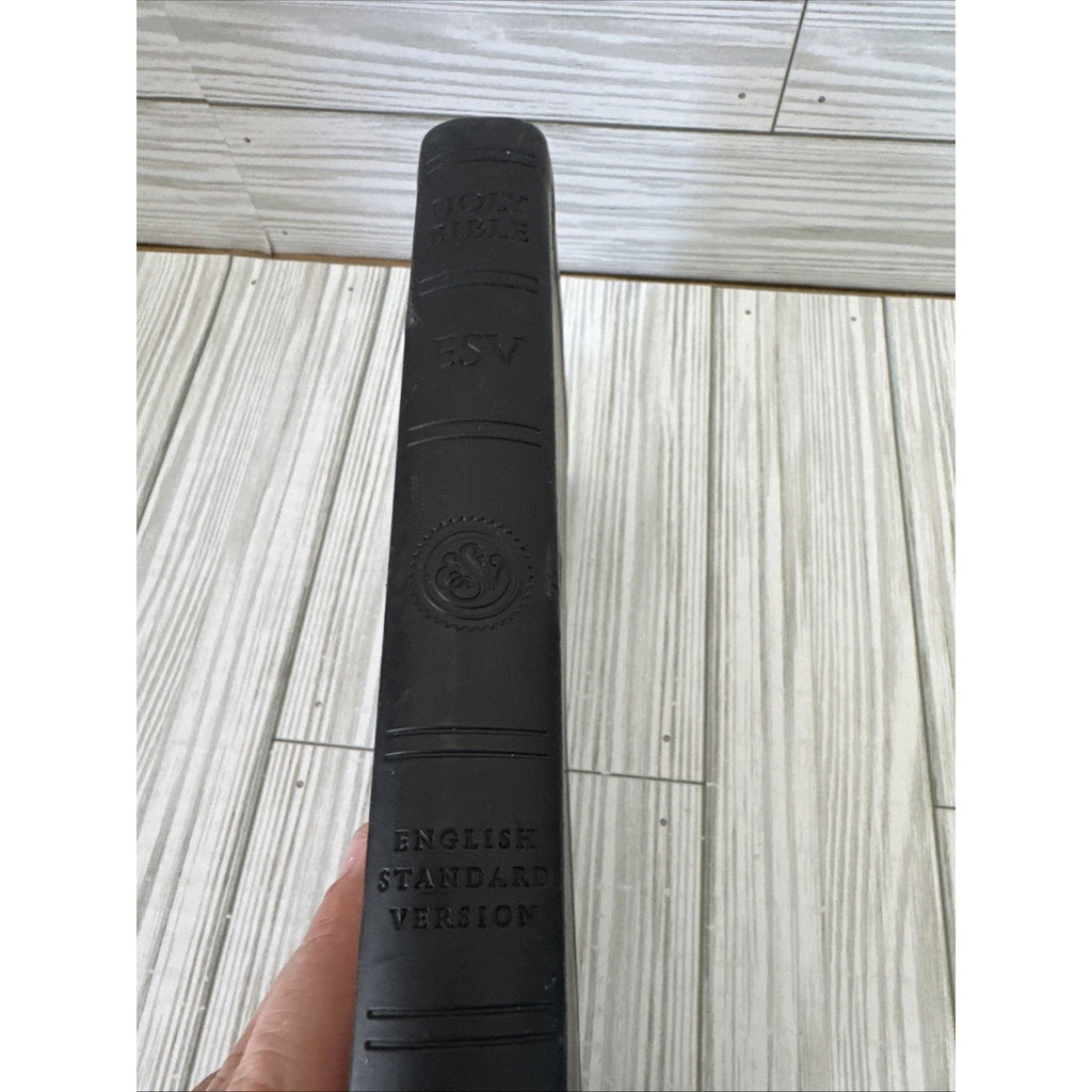 ESV Value Thinline Bible (TruTone, Charcoal, Celtic Cross Design) by Esv Bibles