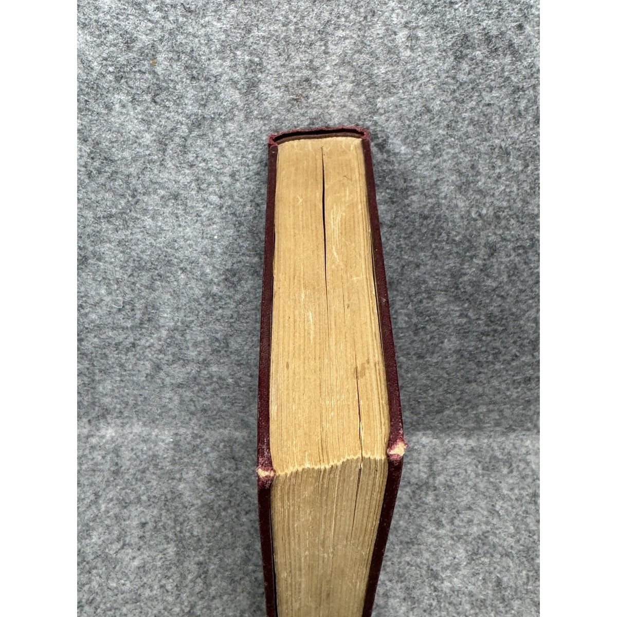 1931 Elementary Home Economics Unit-Problem Plan Mary Lockwood Matthews HC