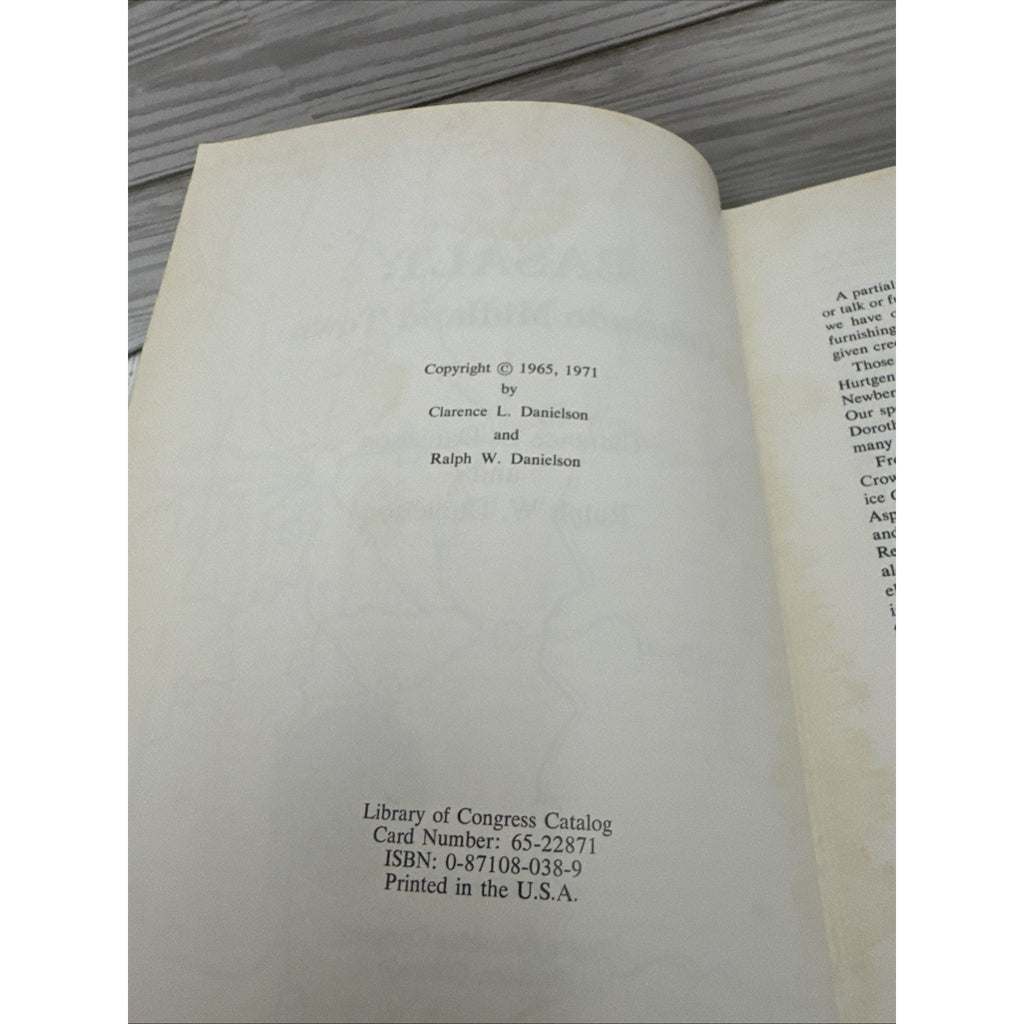 Basalt: Colorado Midland Town Clarence Danielson Ralph Danielson 1965 1971 HB DJ
