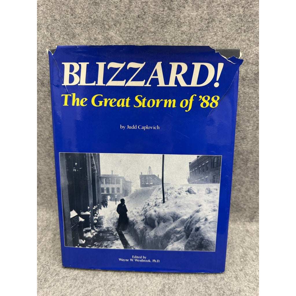 Blizzard! The Great Storm of ’88 Judd Caplovich 1987 1st Ed HC DJ
