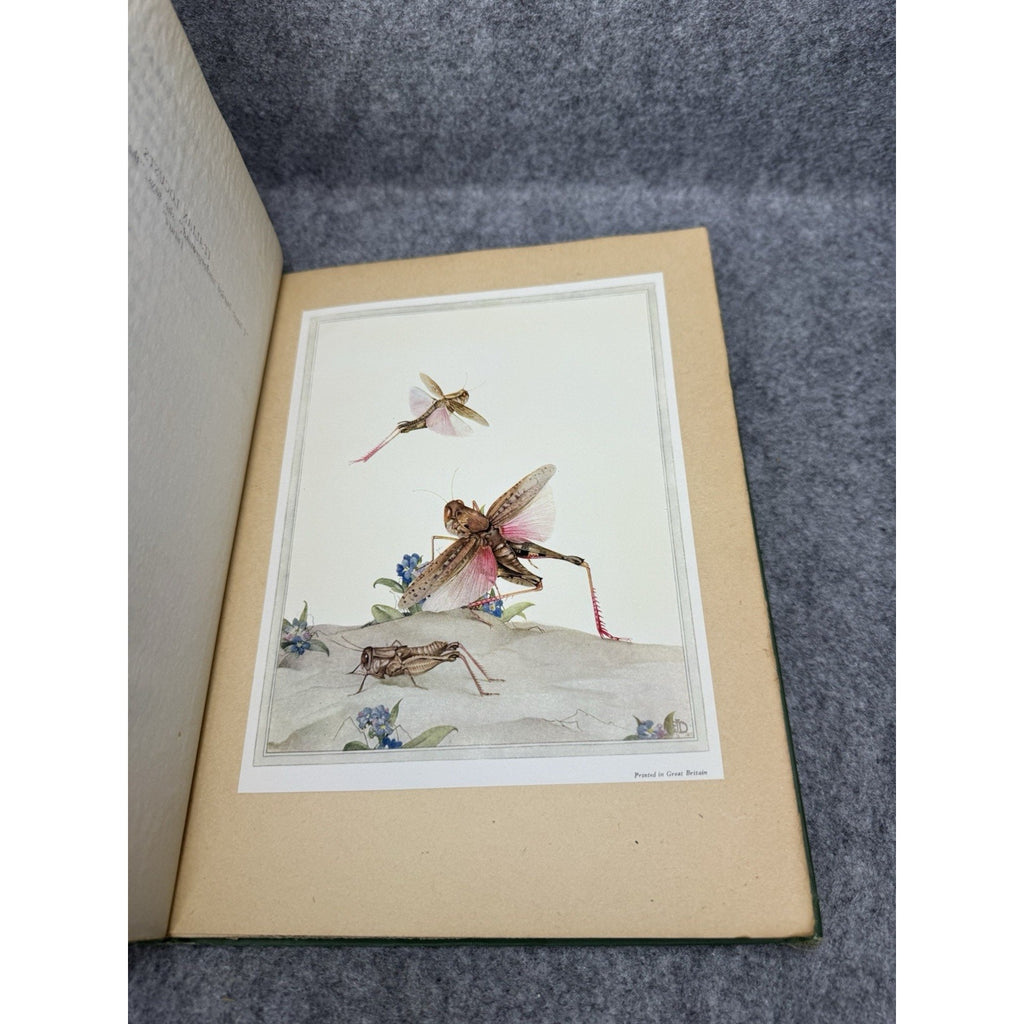 1926 Fabre’s Book of Insects E J Detmold Color Plates Dodd Mead Gilt Hardcover