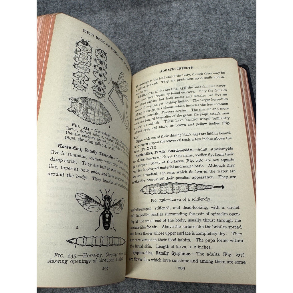 1930 Field Book of Ponds and Streams Ann Haven Morgan Illustrated Hardcover