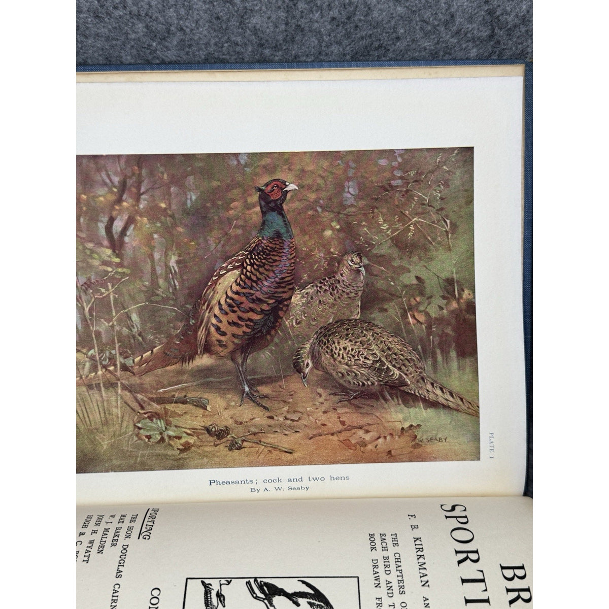 British Sporting Birds Kirkman Hutchinson 1936 Illustrated Hunting Hardcover
