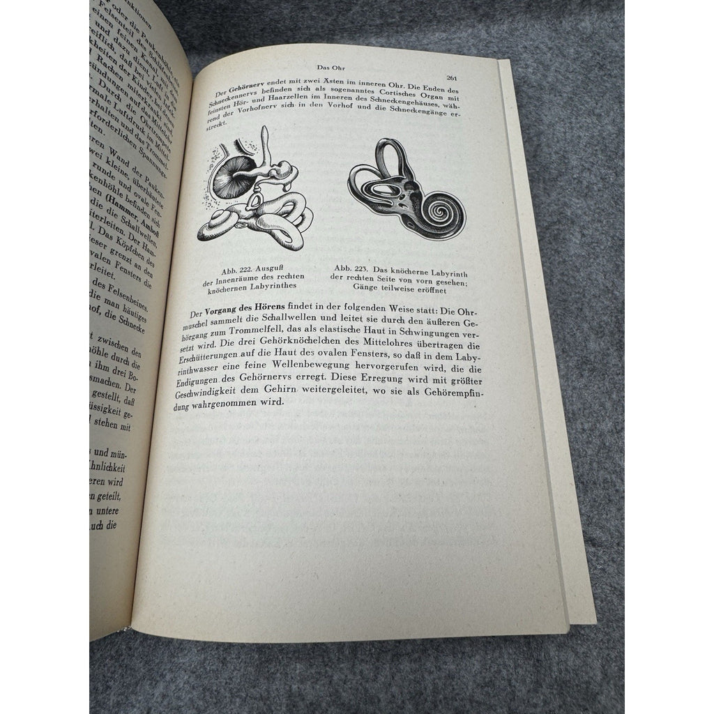 Wisse Erkenne Handle Wilhelm Heupke 1959 German Medical Anatomy Illustrated HC