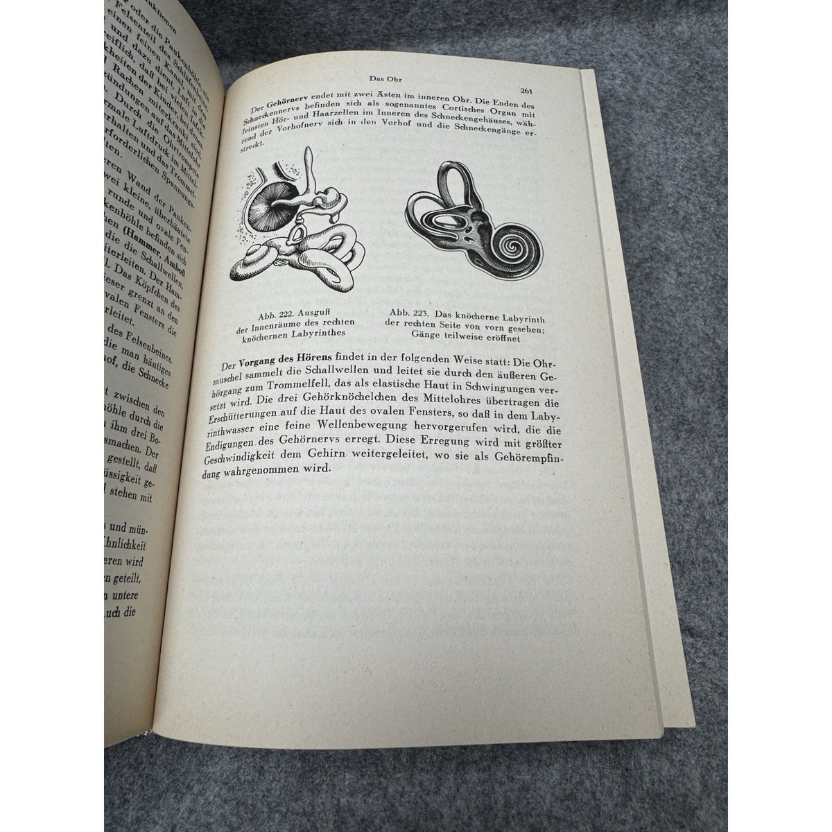 Wisse Erkenne Handle Wilhelm Heupke 1959 German Medical Anatomy Illustrated HC