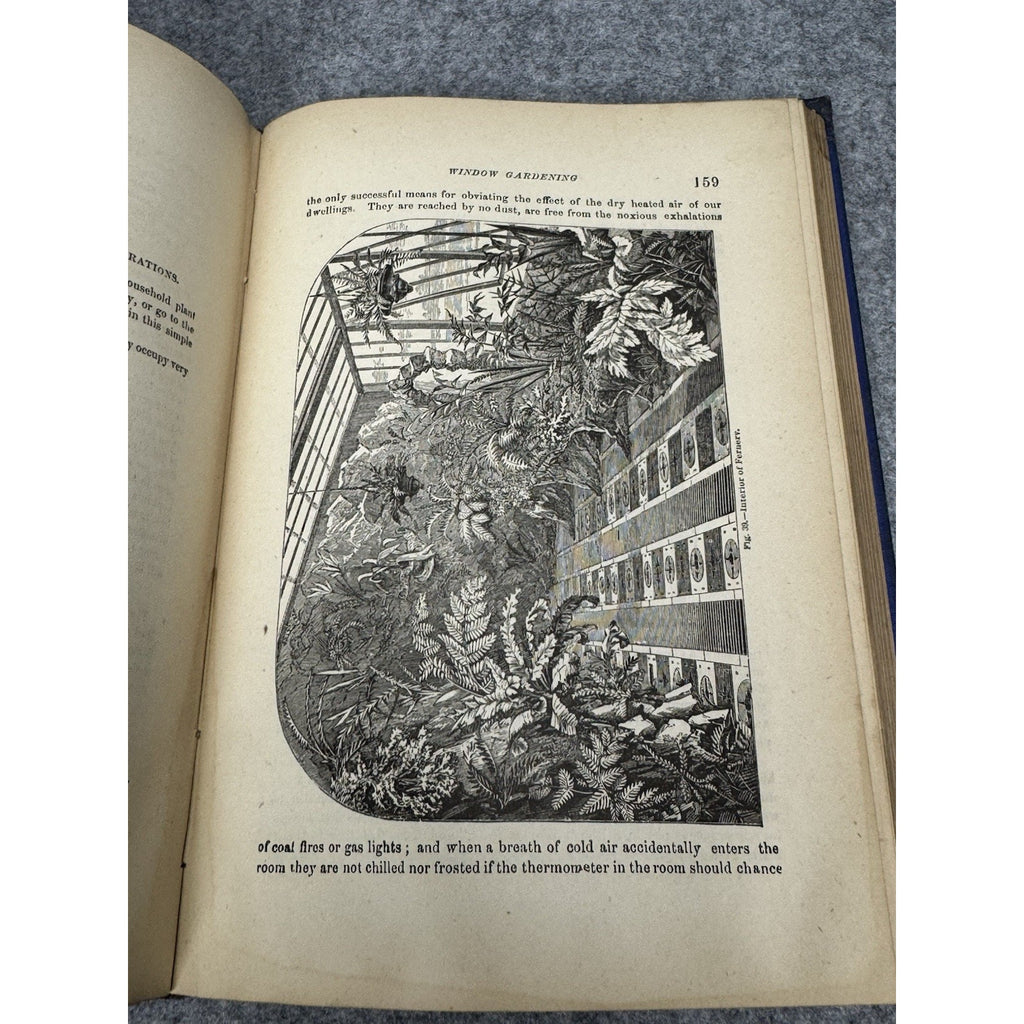 1877 Window Gardening Henry T Williams Illustrated Victorian Plants Hardcover