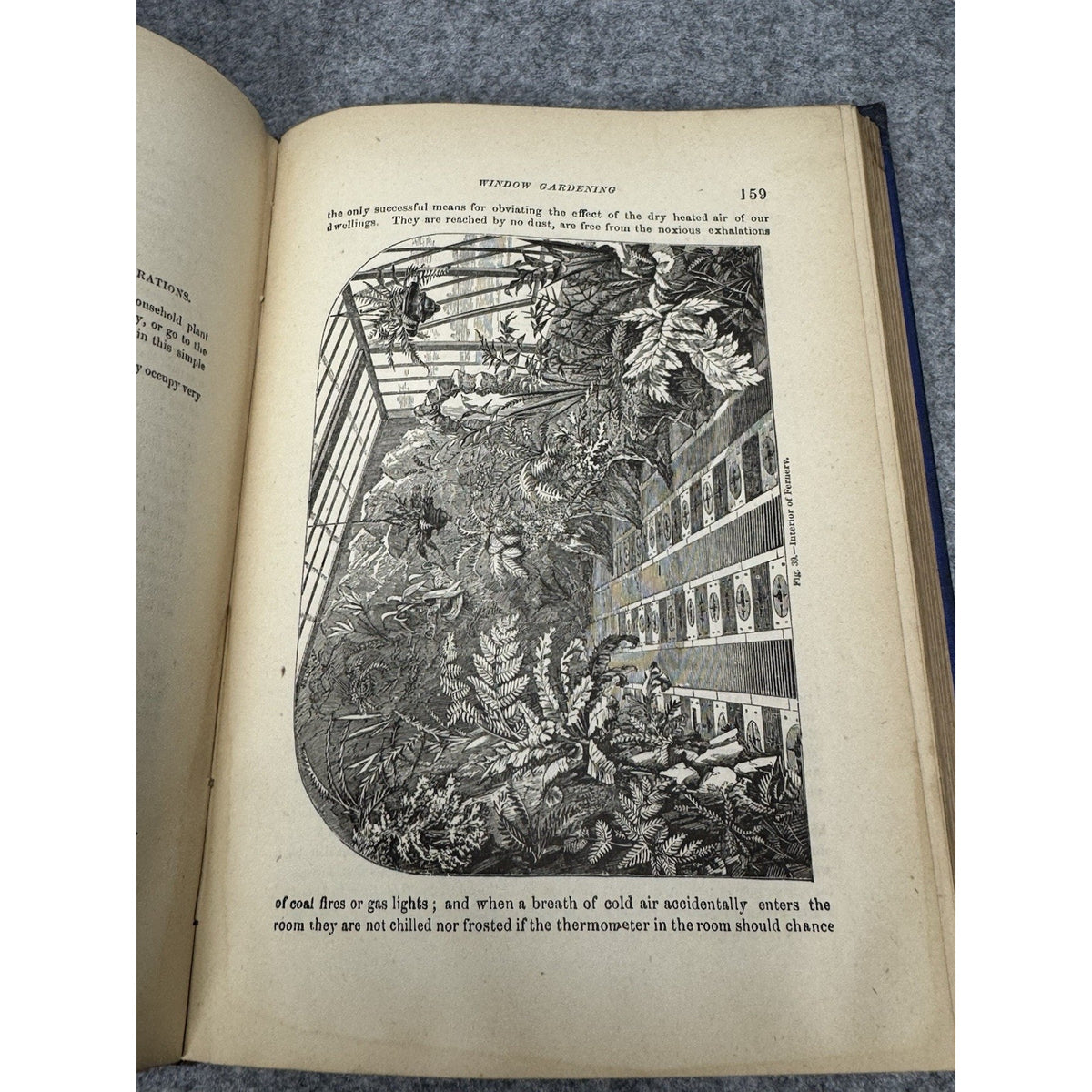 1877 Window Gardening Henry T Williams Illustrated Victorian Plants Hardcover