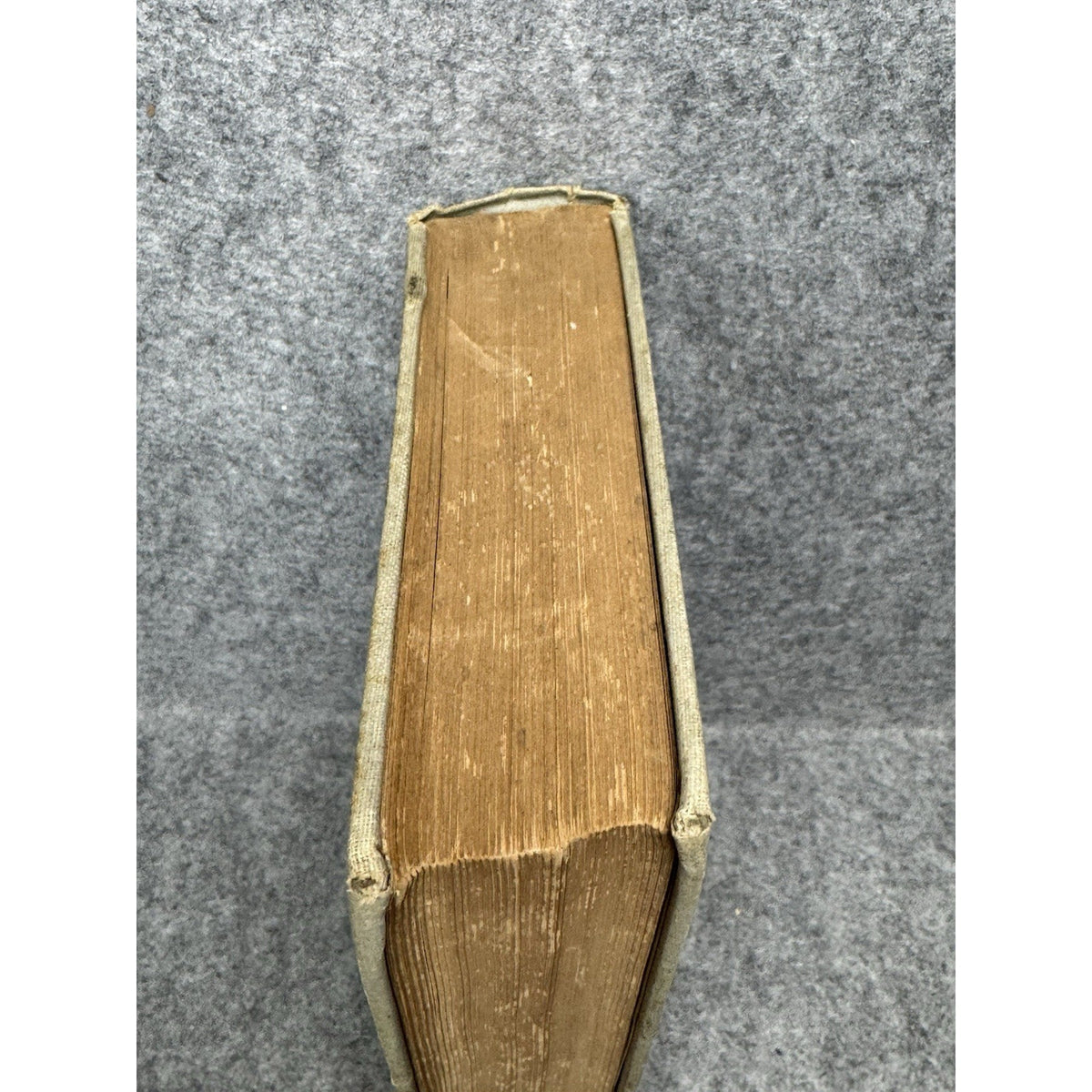 1898 Sielanka A Forest Picture Henryk Sienkiewicz Polish Stories Antique