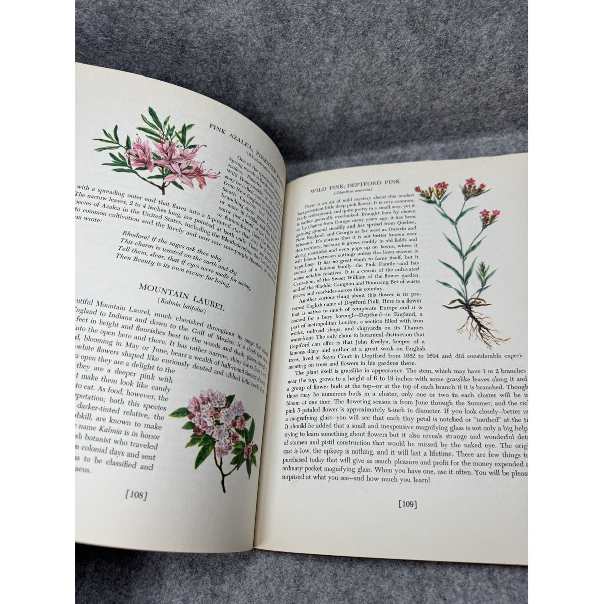 1966 Introduction to Nature John Kieran Birds Flowers Trees HC Dust Jacket