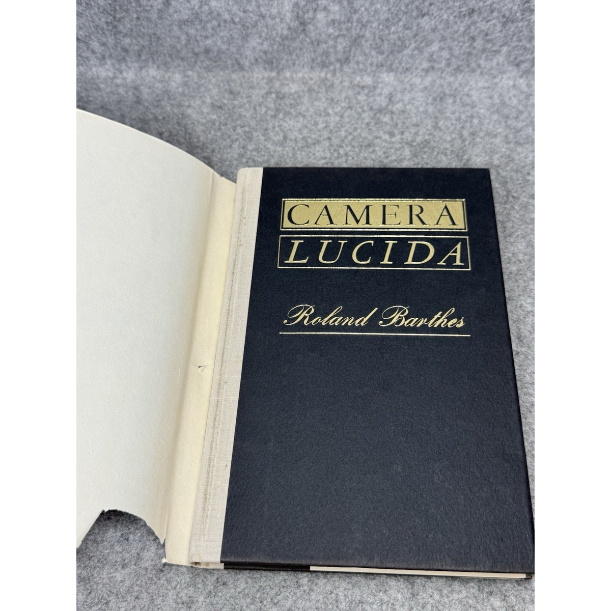 Camera Lucida Roland Barthes 1981 First American Edition Photography HC DJ