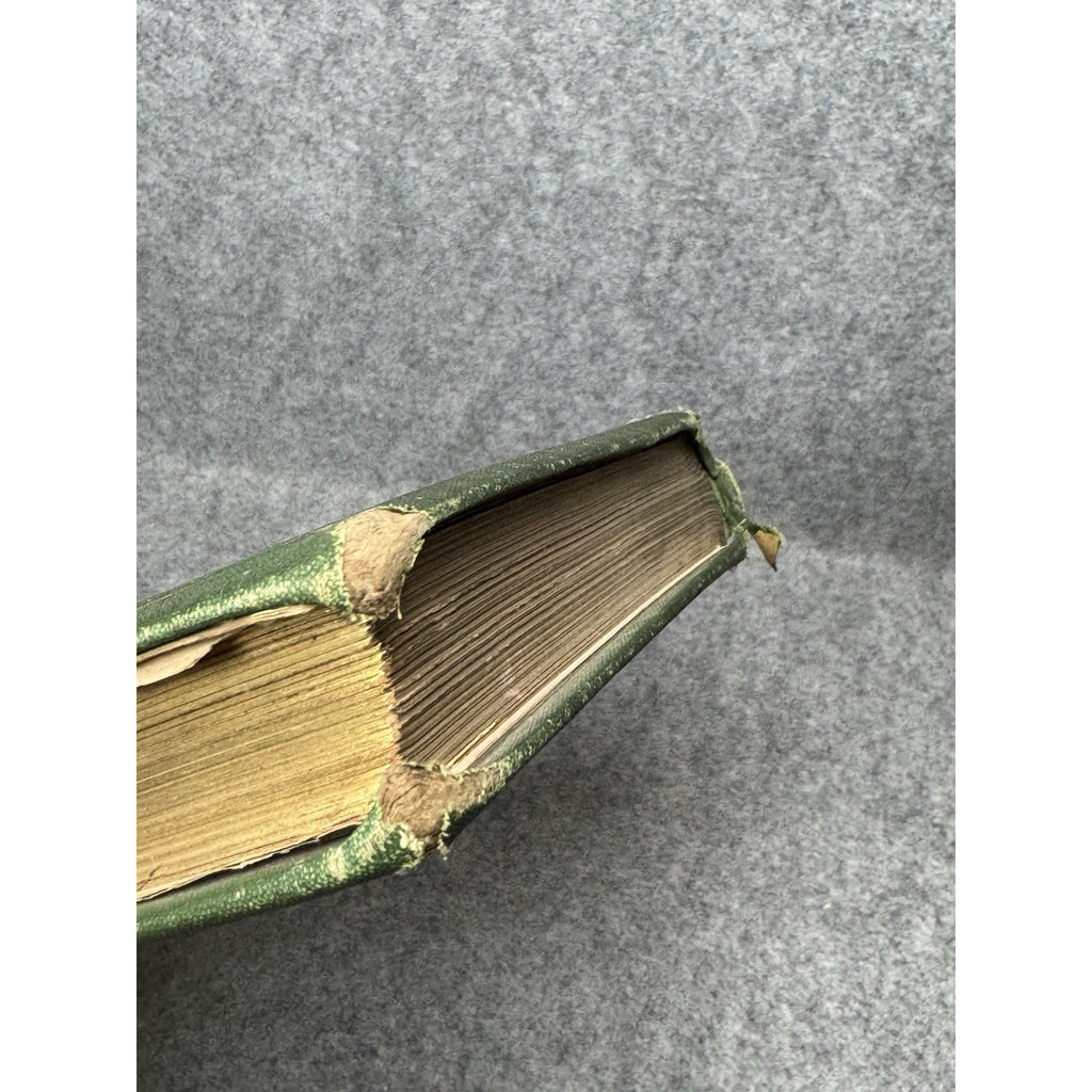 1875 The Insect Jules Michelet First English Edition Giacomelli Illustrated HC