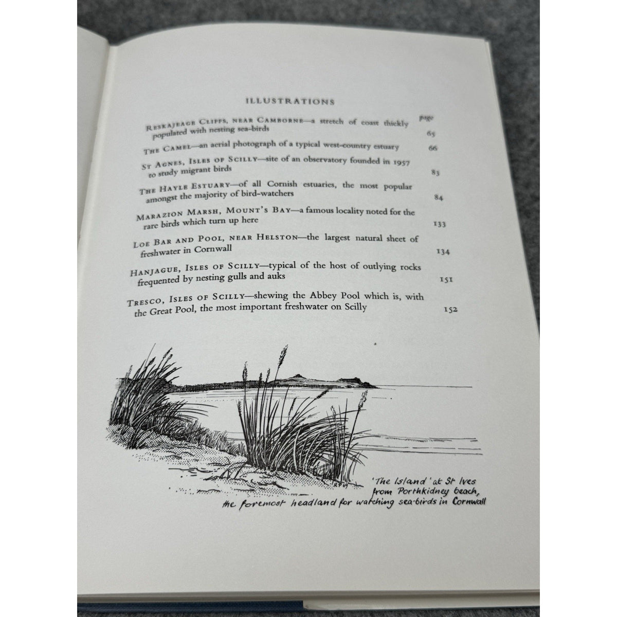 Birds Cornish Coast Isles of Scilly Penhallurick 1969 1st Edition HC DJ