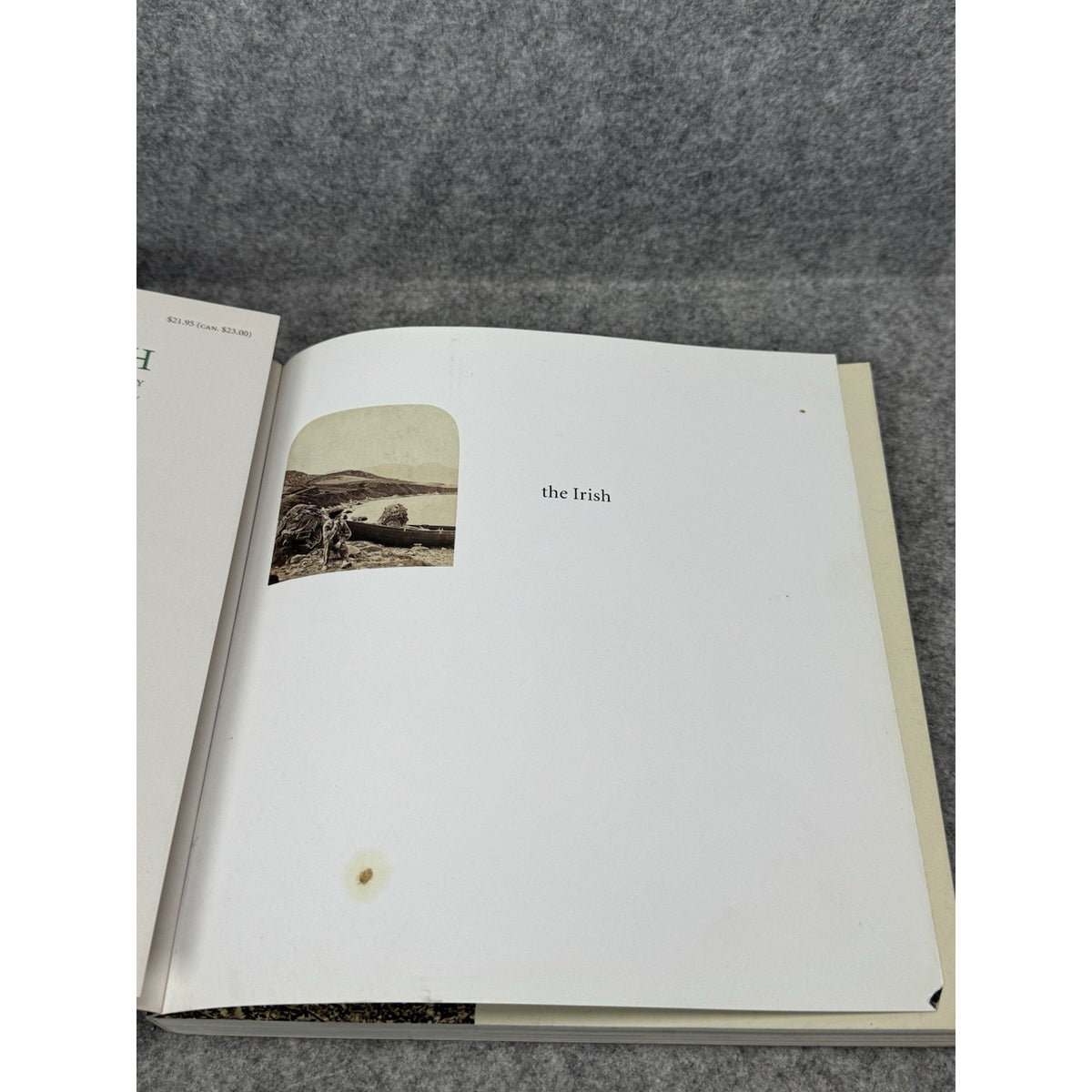 2013 The Irish A Photohistory Sean Sexton Christine Kinealy Ireland Photography