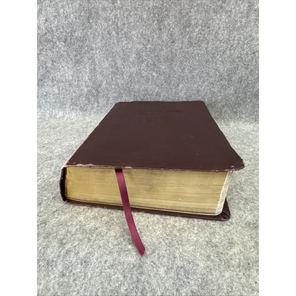 NKJV Modern Life Study Bible Brown Leather Soft