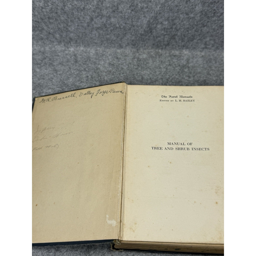 1926 Manual of Tree and Shrub Insects Felt Illustrated Entomology Hardcover
