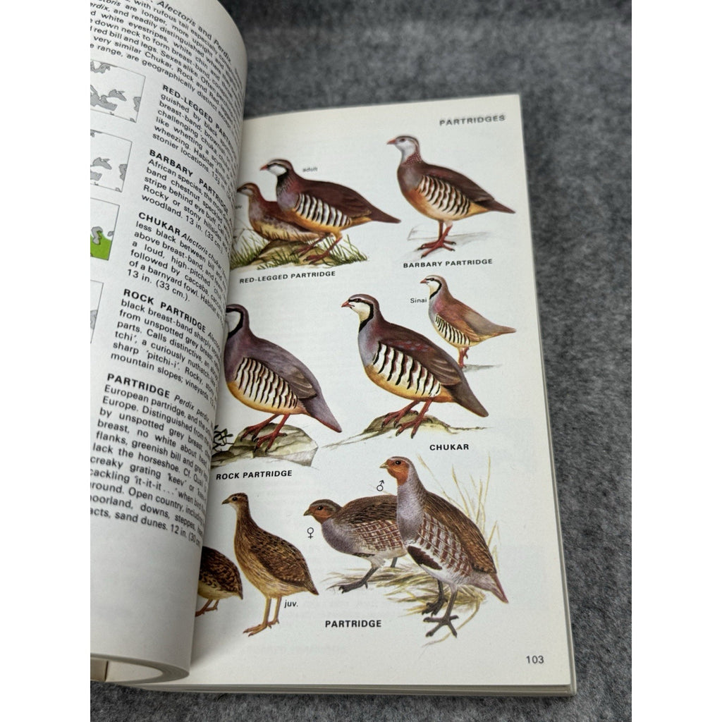 Birds of Britain and Europe 1974 Heinzel Fitter Parslow Illustrated Field Guide