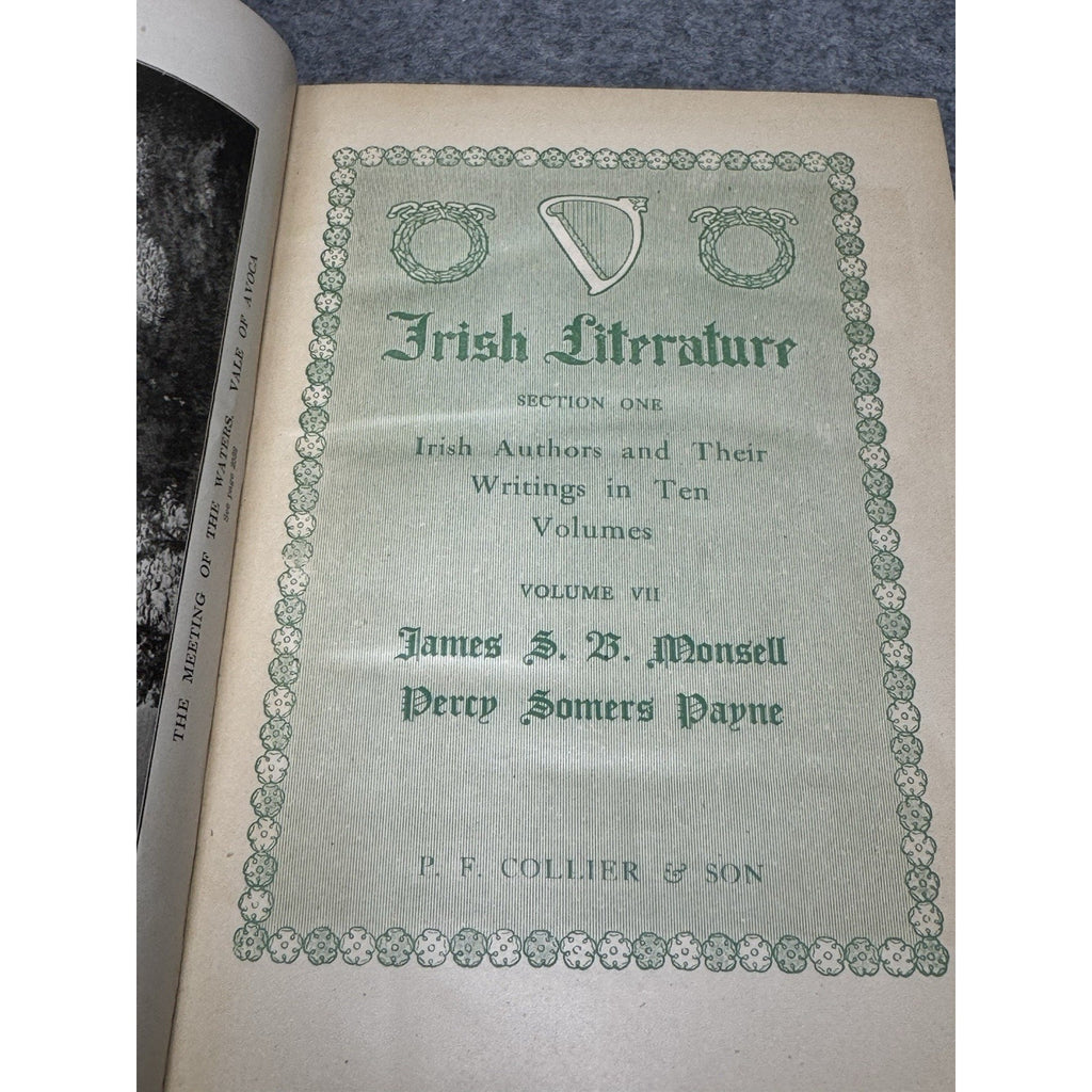 Irish Literature 1904 Vols IV & VII Douglas Hyde Justin McCarthy 2 Books