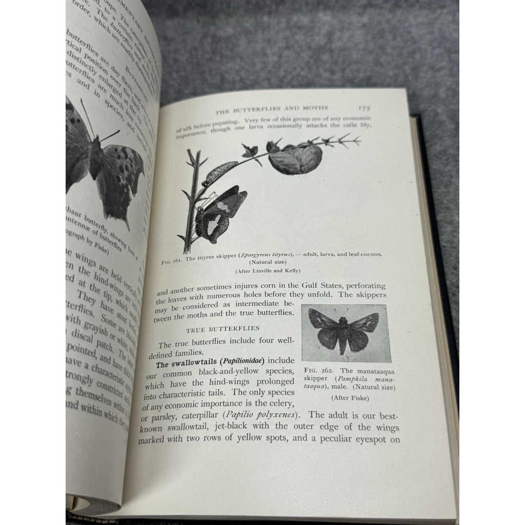 1912 Elementary Entomology Sanderson & Jackson Illustrated Insects Hardcover