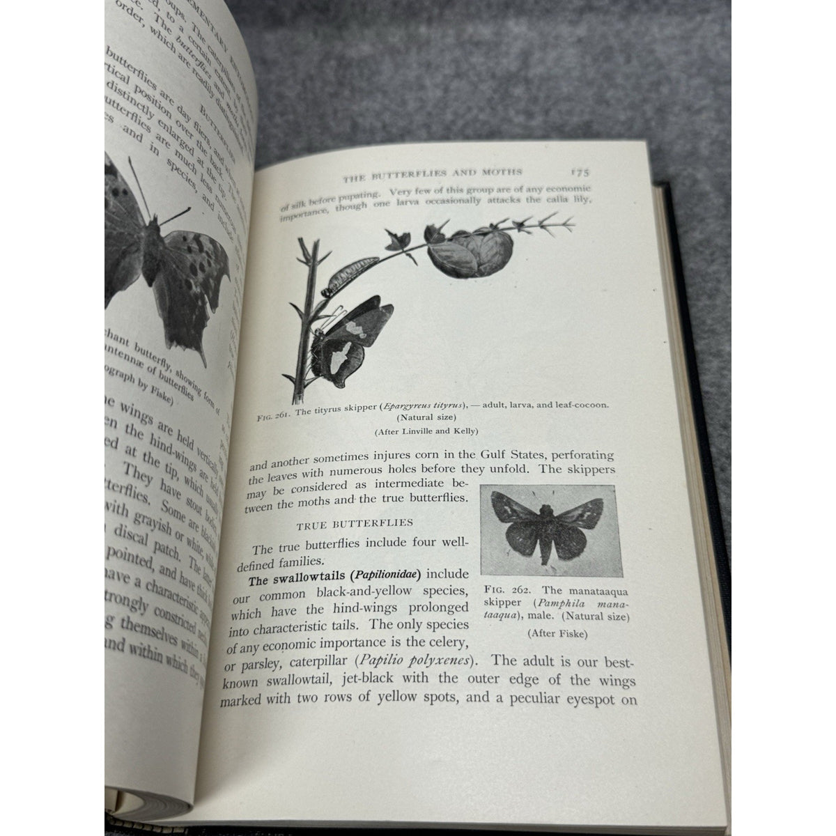 1912 Elementary Entomology Sanderson & Jackson Illustrated Insects Hardcover