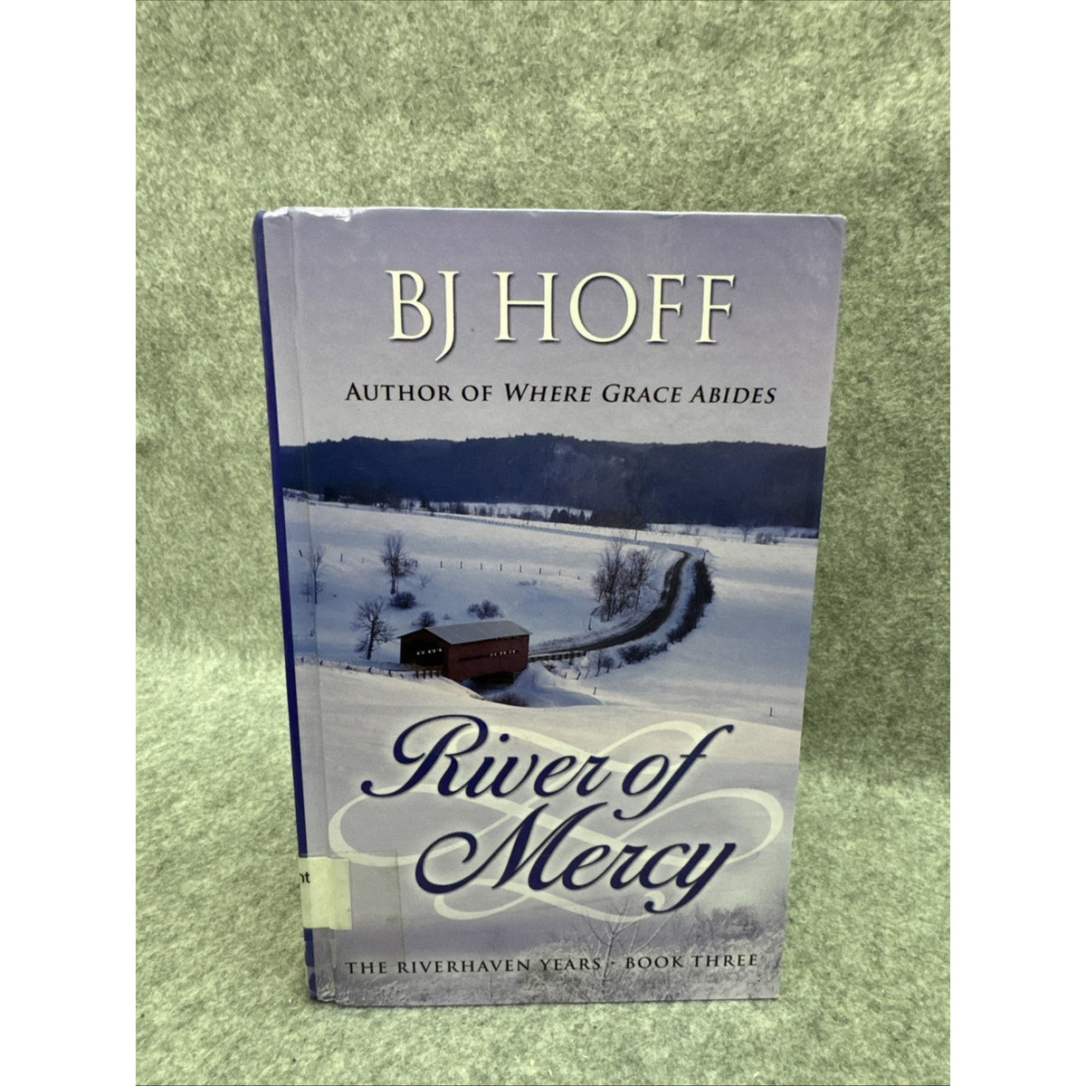 River of Mercy by B. J. Hoff (2013, Hardcover)