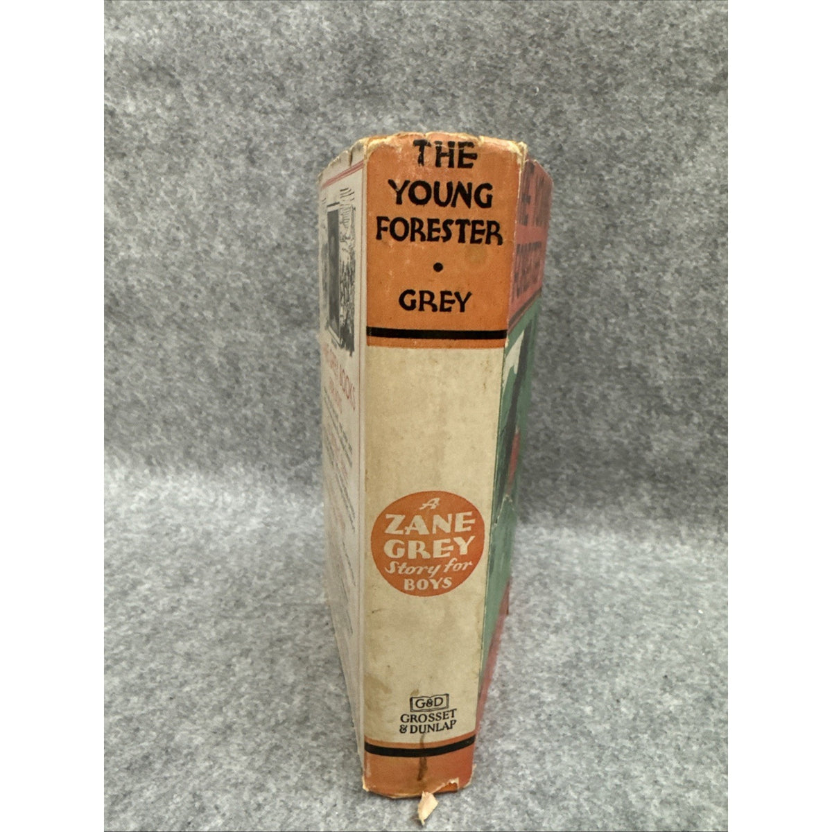 Zane Grey THE YOUNG FORESTER Book 1st Edition 1st Printing HC DJ 1910 First