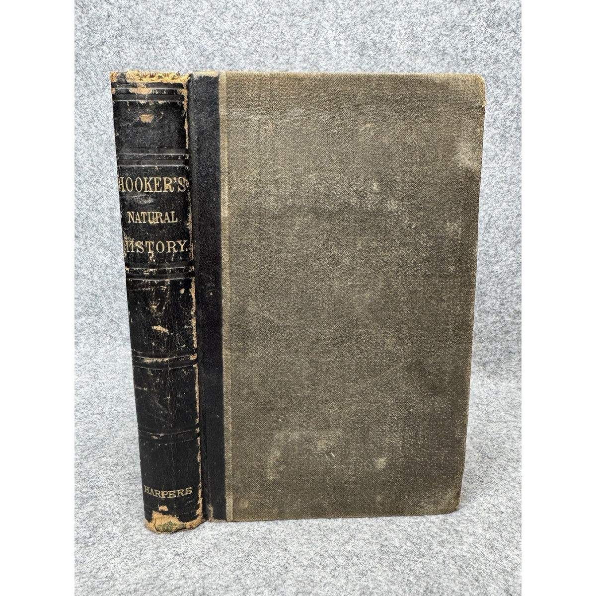 1884 Natural History Worthington Hooker Nearly 300 Engravings Animals Birds HC