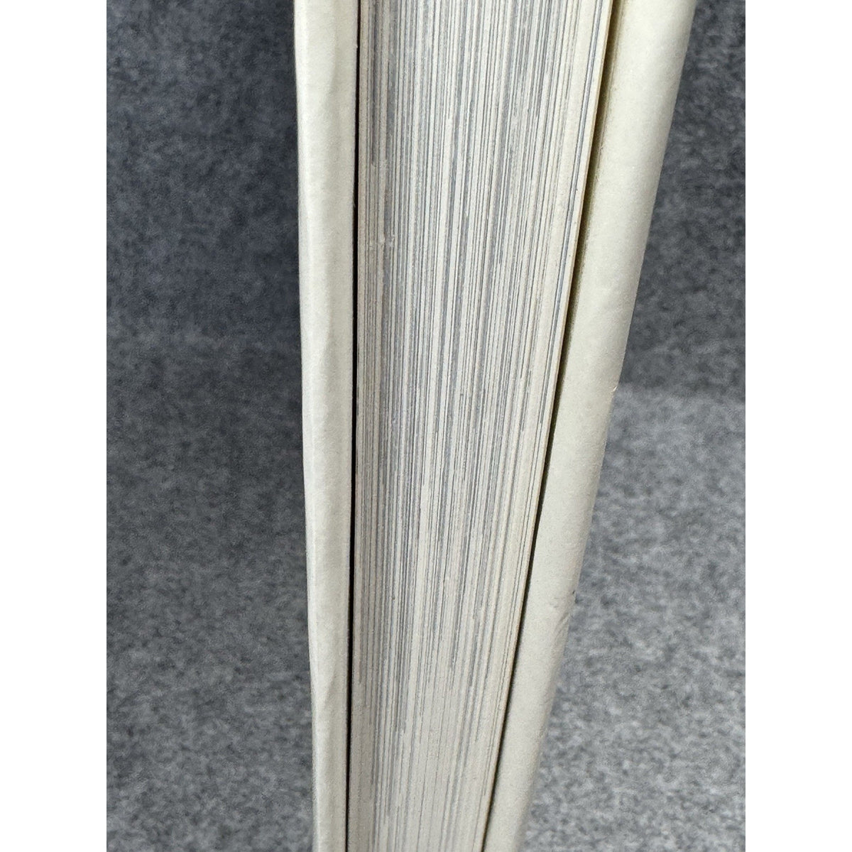 1989 American Image Martin W Sandler Photography American History Hardcover DJ