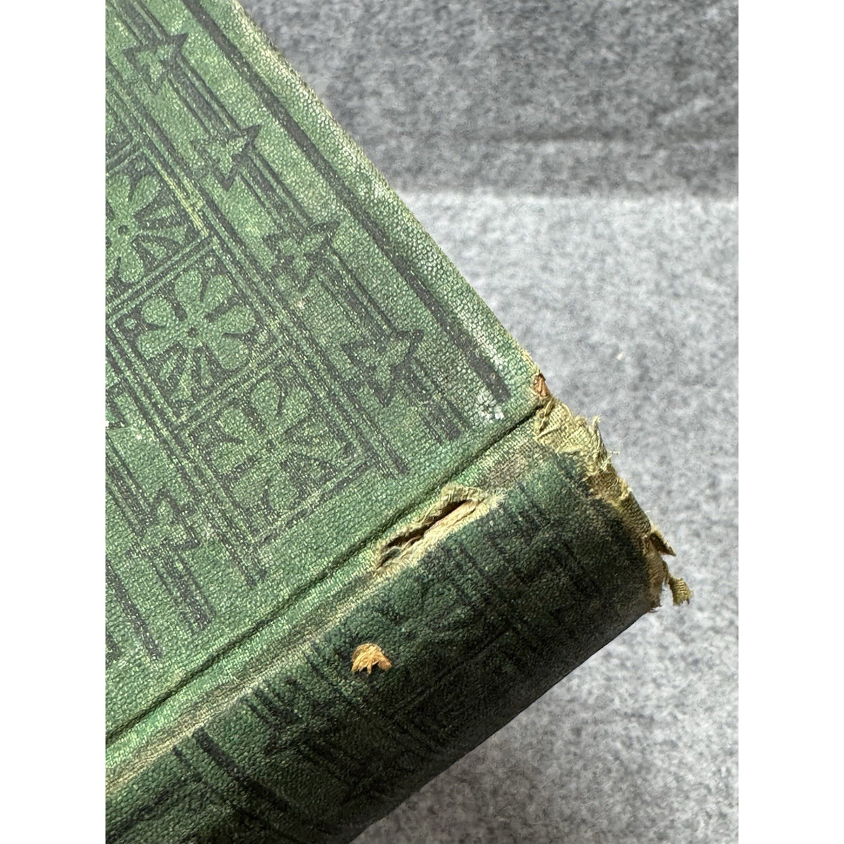 1881 Swiss Family Robinson J B Lippincott HC Illustrated Antique Book