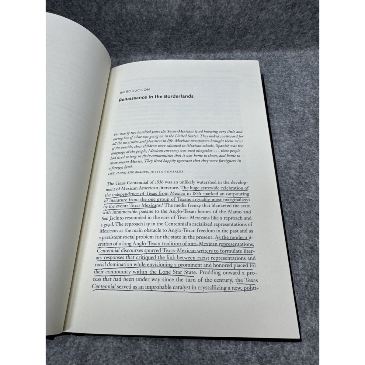 Border Renaissance: The Texas Cente..., John Morán Gonz