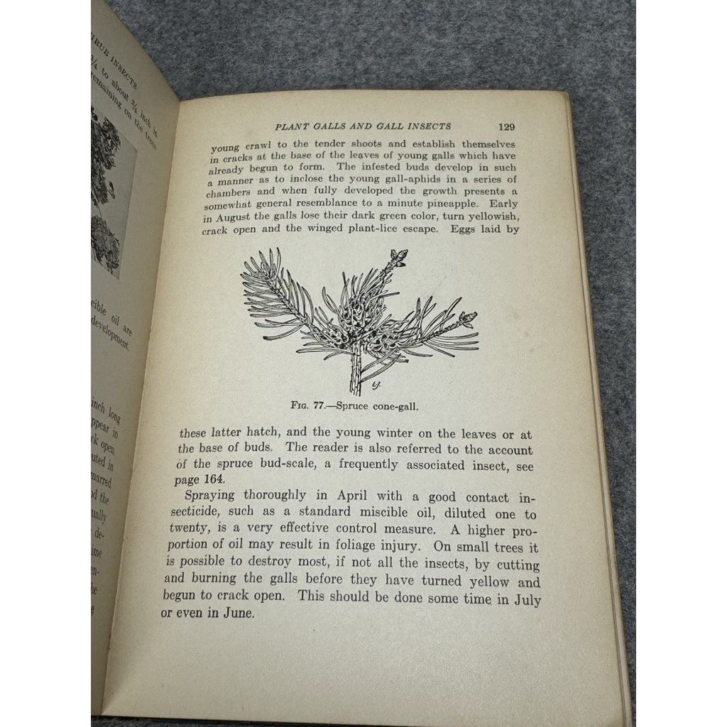 1926 Manual of Tree and Shrub Insects Felt Illustrated Entomology Hardcover