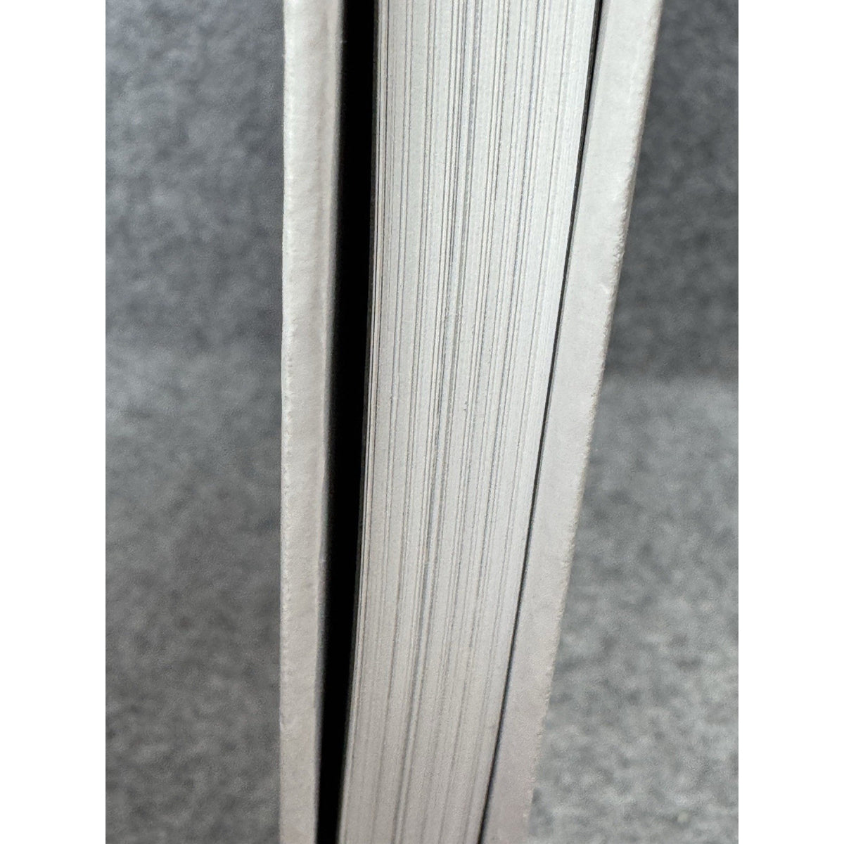 Gardens of Sand 2010 Middle East Photography 1859-1905 Nassar Hardcover DJ