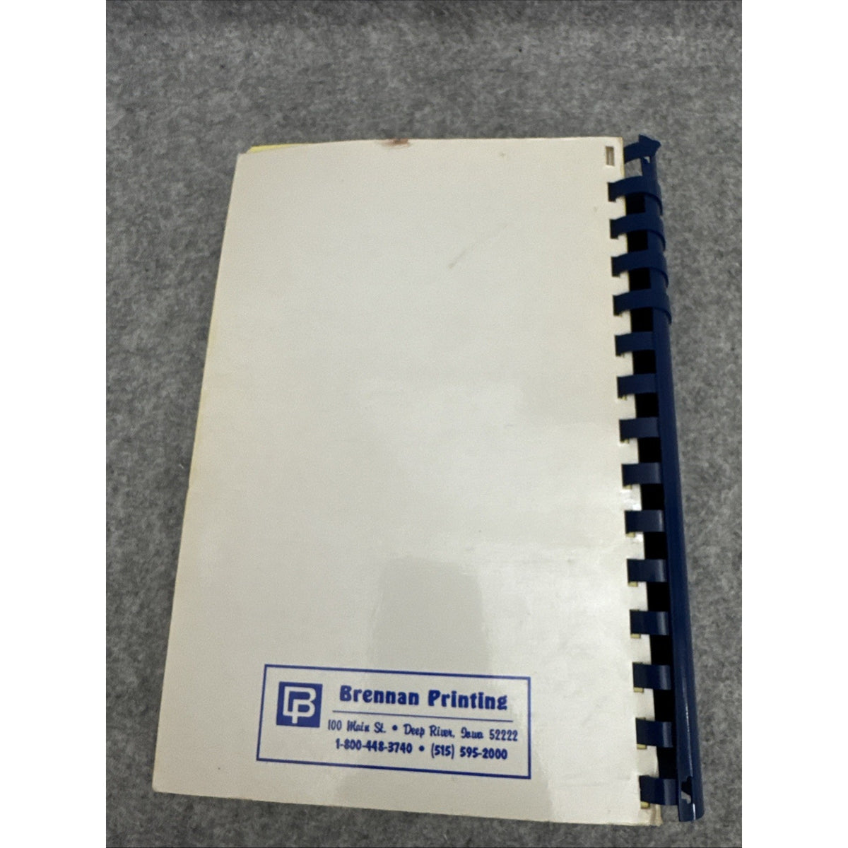Tastes Of Love Cookbook. New Sharon, Iowa Of Rachel Circle. 1993 First Edition