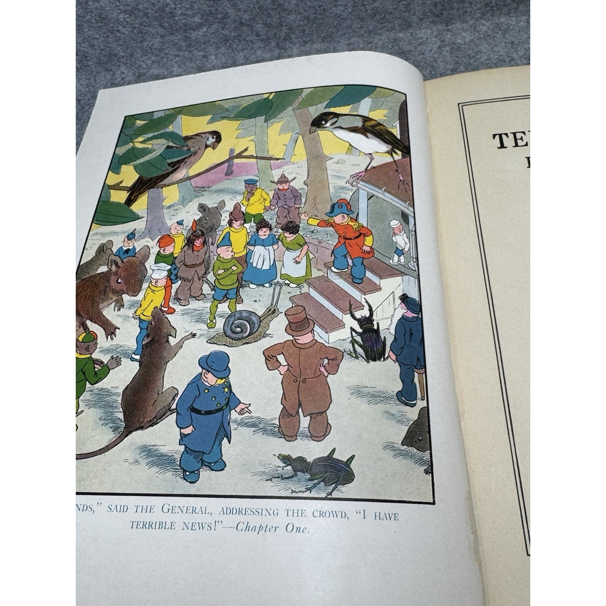 The Teenie Weenies in the Wildwood William Donahey 1923 Illustrated HC