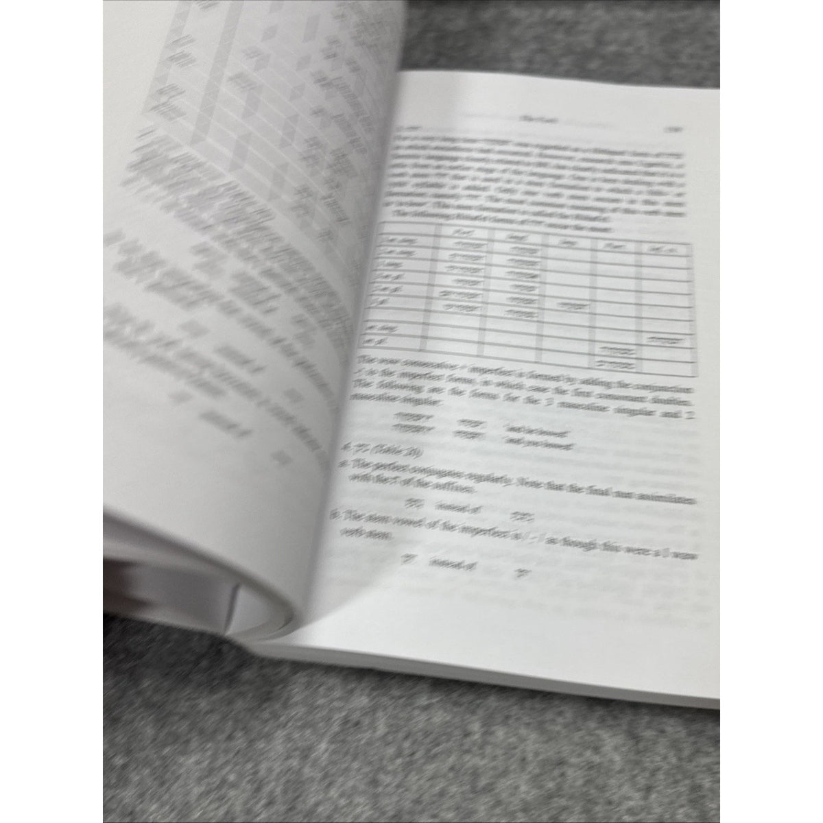 Biblical Languages: Hebrew Ser.: Biblical Hebrew Reference Grammar by Christo H.
