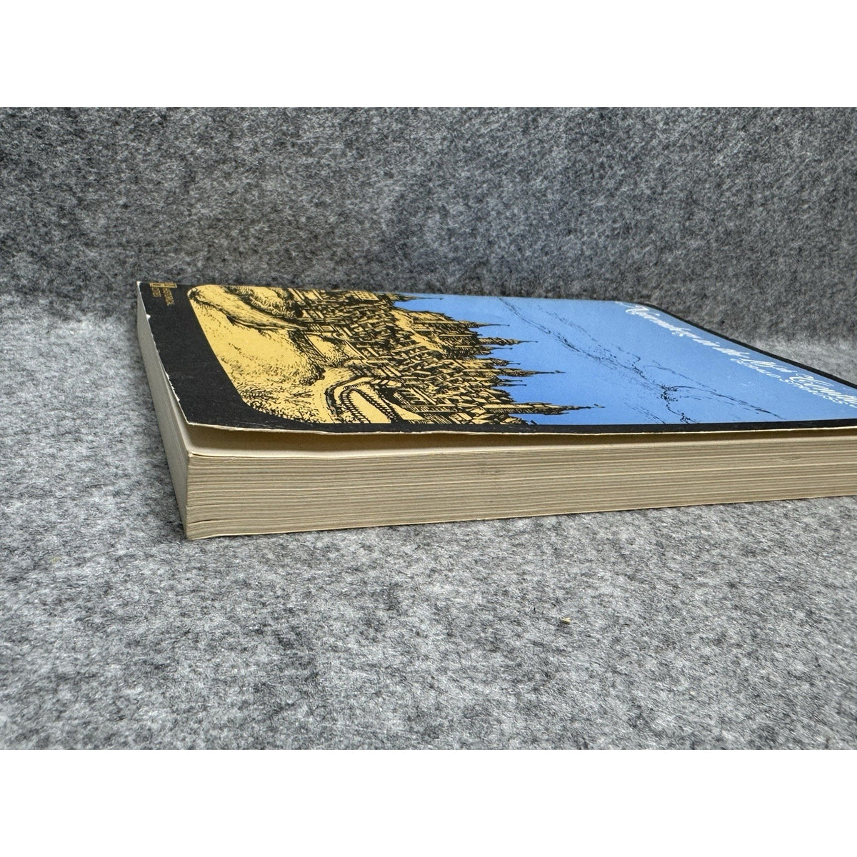 Nuremberg in the 16th Century Gerald Strauss 1968 History Paperback Map