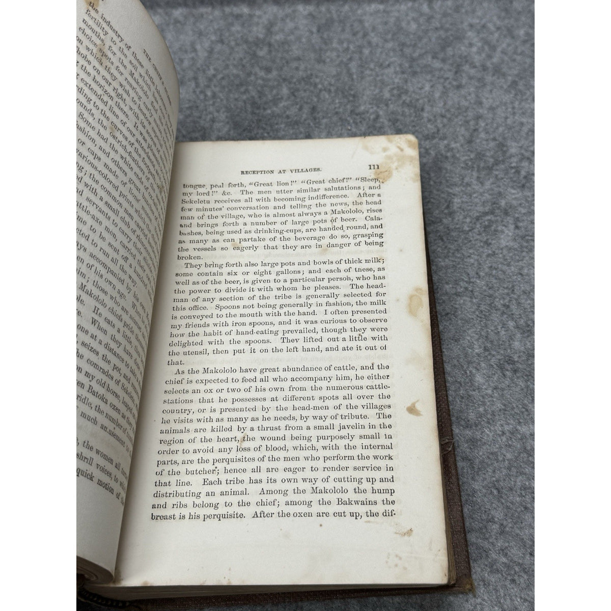 1861 Livingstone Travels Researches South Africa Illustrated Antique Book