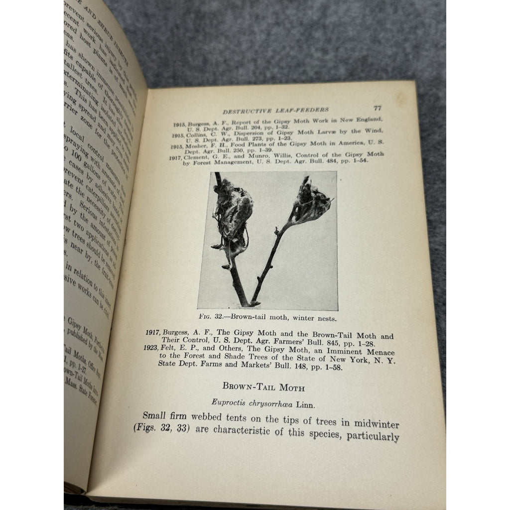 1926 Manual of Tree and Shrub Insects Felt Illustrated Entomology Hardcover