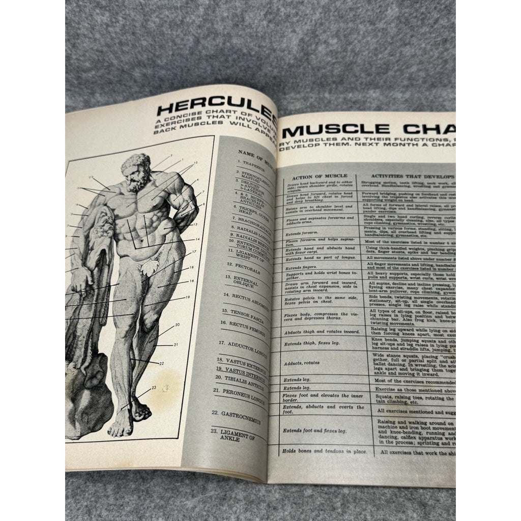 Muscular Development May 1966 Les Spendlove Elmo Santiago Bodybuilding Magazine
