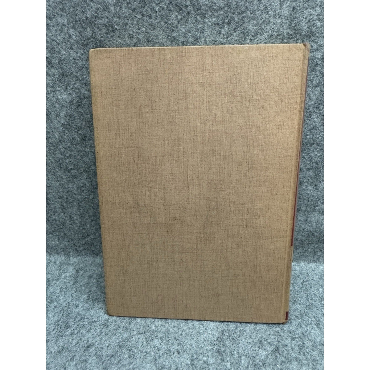 1965 Neurophysiology 2nd Edition Ruch Patton Woodbury Towe HC Medical