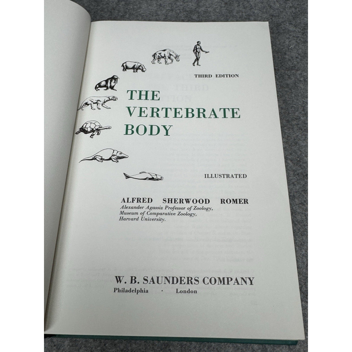 The Vertebrate Body Alfred Romer 3rd Ed 1966 Comparative Anatomy Illustrated