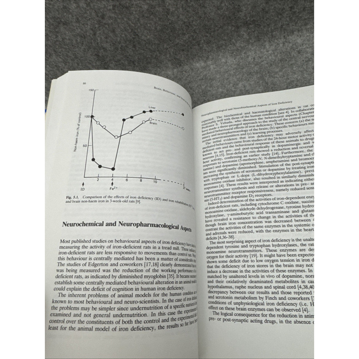 Brain Behaviour and Iron in the Infant Diet by John Dobbing (1990, Hardcover)