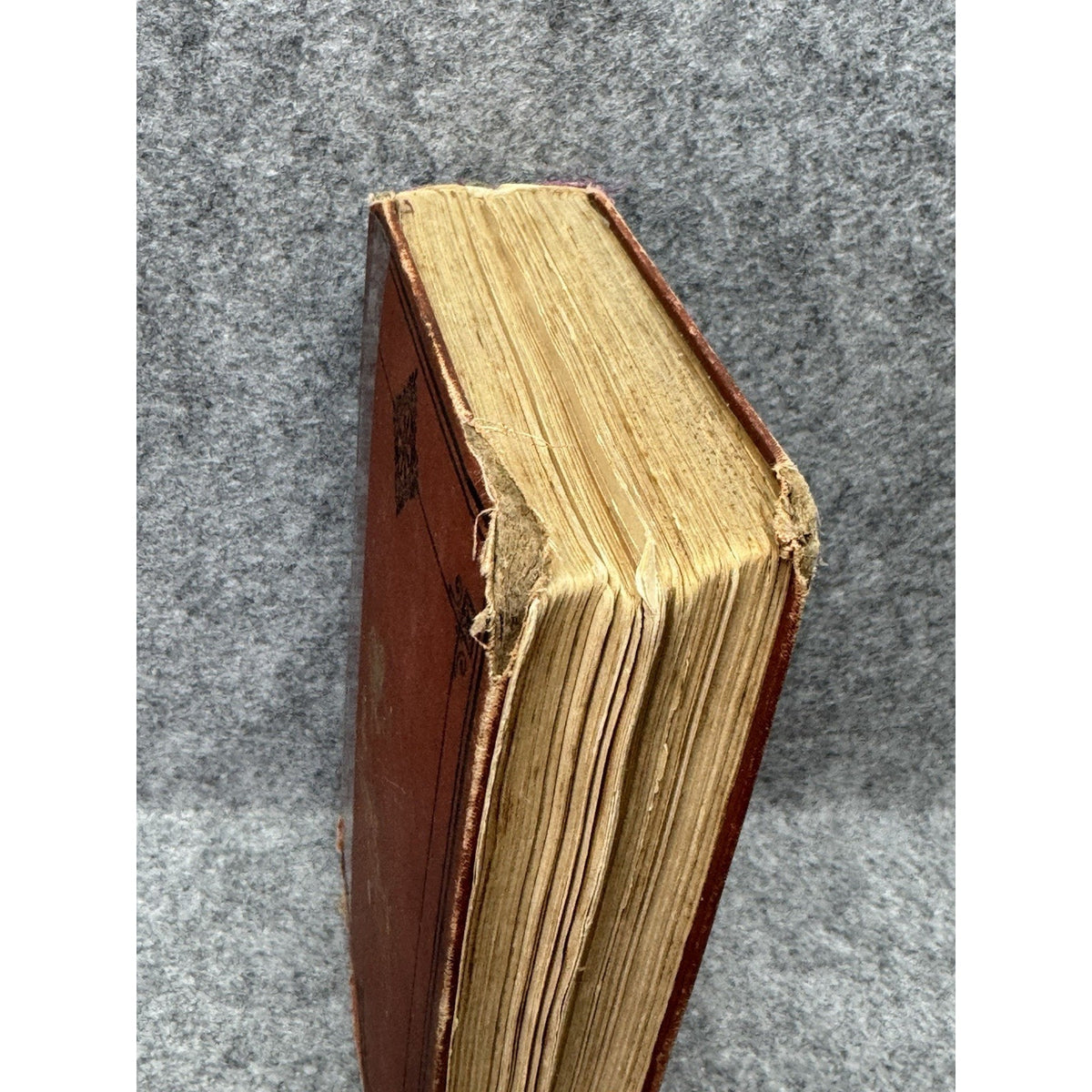 1880 The Mysterious Island Jules Verne R Worthington Illustrated Antique