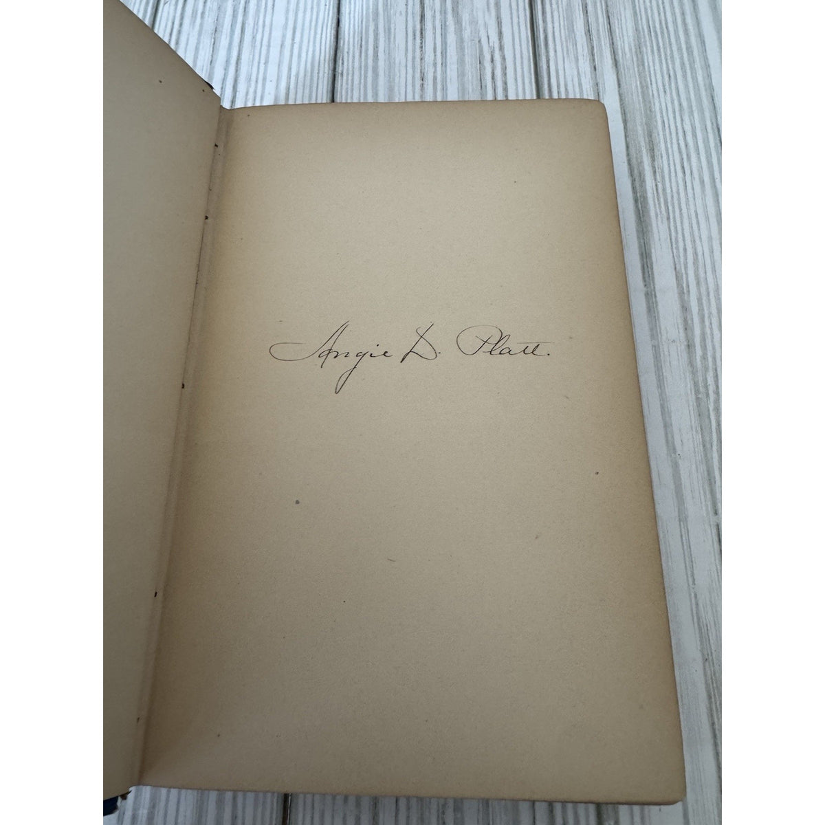 Titcomb’s Letters to Young People JG Holland 1882 HC Scribner Vintage